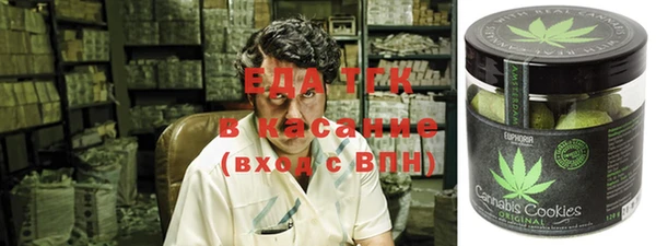 стаф Вязьма