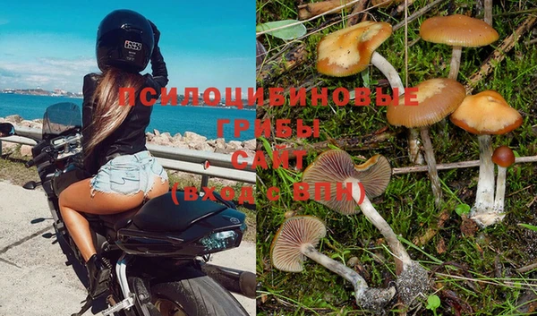 прущие крисы Армянск