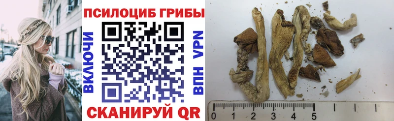 Галлюциногенные грибы мухоморы  Бобров 